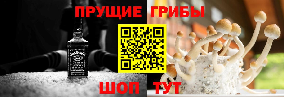 Галлюциногенные грибы ЛСД  Вход с VPN  Галлюциногенные грибы GOLDEN TEACHER  Ленинск-Кузнецкий 